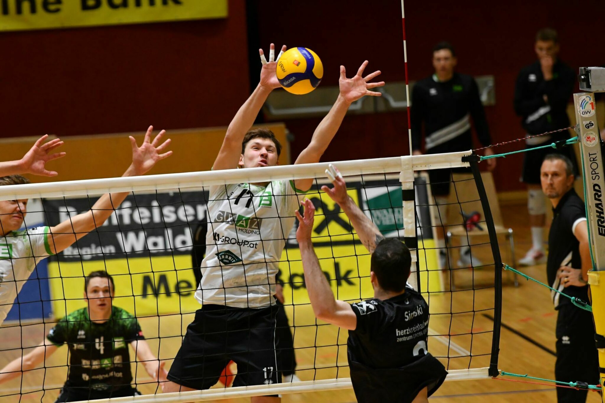 Union Volleyball Raiffeisen Waldviertel: Nordmänner starten in die Austrian Volley League - Zwettl
