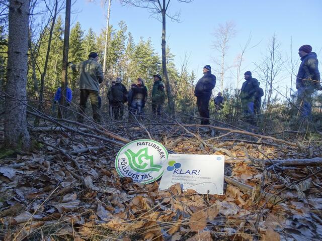 Exkursion „Unser Wald mit Zukunft“ im Rahmen der Klimawandelanpassungs-Modellregion (KLAR!)  Naturpark Pöllauer Tal  | Foto: KLAR! Naturpark Pöllauer Tal