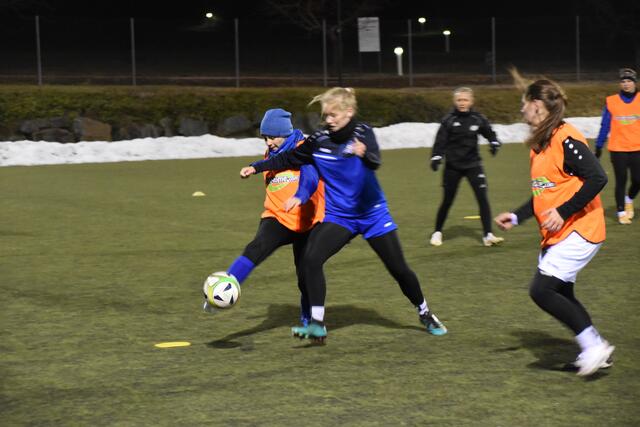 Die Spielerinnen vom FC Südburgenland starteten in die Frühjahrsvorbereitung. | Foto: Michael Strini