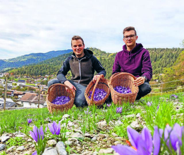 Eines der erfolgreichen Crowdfunding-Projekte aud „mit.einander.at“: Safran-Anbbau auf 1.500 Metern. | Foto: RAIBA