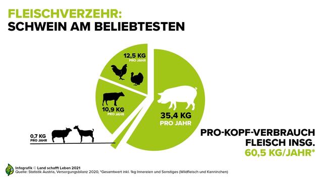 Infografik Fleischverzehr gesamt