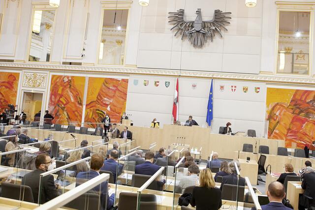 Die Demonstrationen in Döbling haben es in den Nationalrat geschafft.