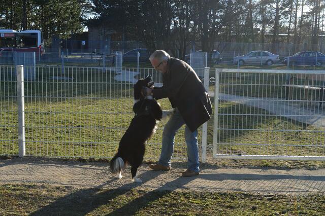 Ein weiterer Statistikwert: 12 Hundezonen finden sich in Meidling.