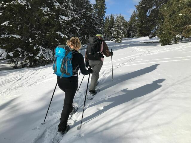 Nächste Schneeschuhwanderung am 5. Februar