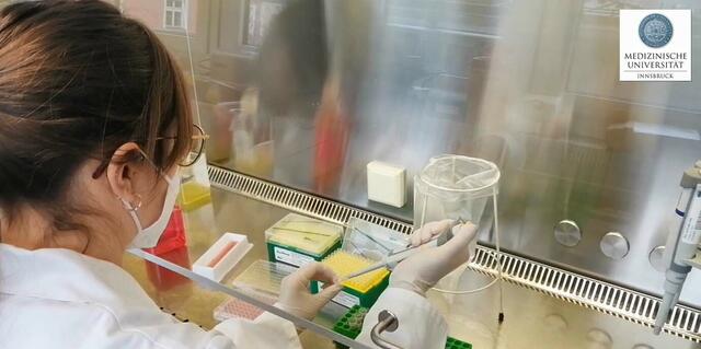 Ein Blick hinter die Kulissen einer aktuellen Forschungsarbeit am Institut für Virologie.