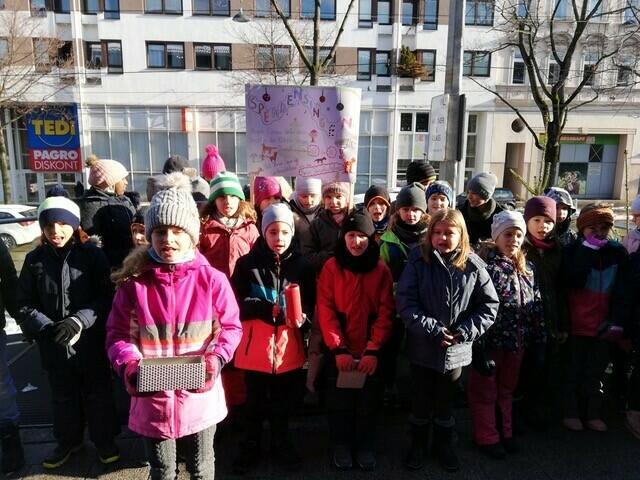 Die Schüler der 3b und 3c der Volksschule Julius-Meinl-Gasse sangen, um zu helfen | Foto: Eichelter/Klementschitz