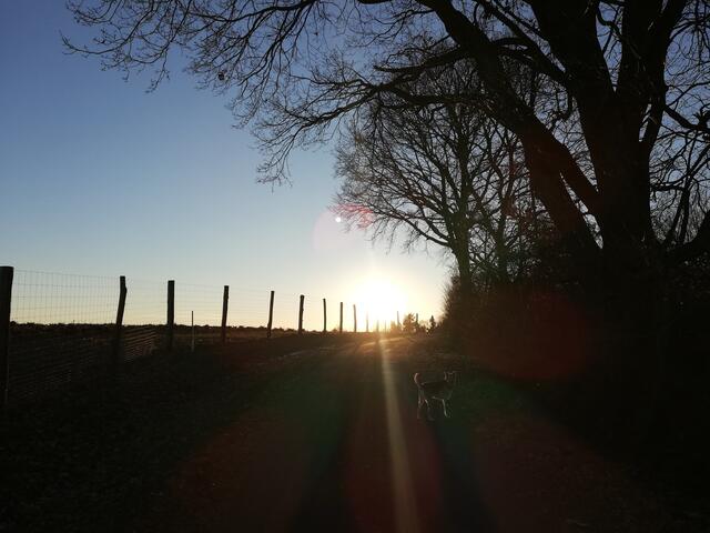 Die Sonne begleitet uns durch weite Strecken des Samstags.