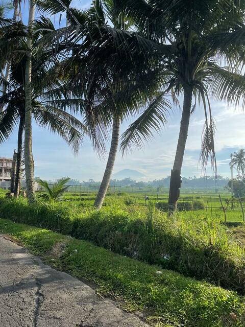 Unterwegs in der Umgebung von Ubud. Im Hintergund sieht man den Vulkan Mount Agung.  | Foto: privat