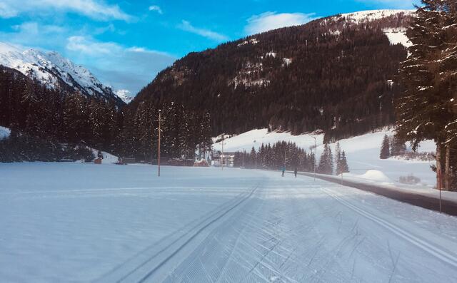 Welche Lungauer Langlaufloipe bevorzugst du? | Foto: Eva Bogensperger