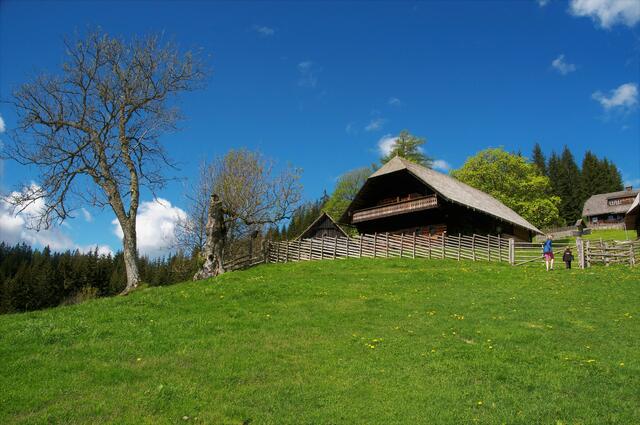 Kluppeneggerhof - Krieglach