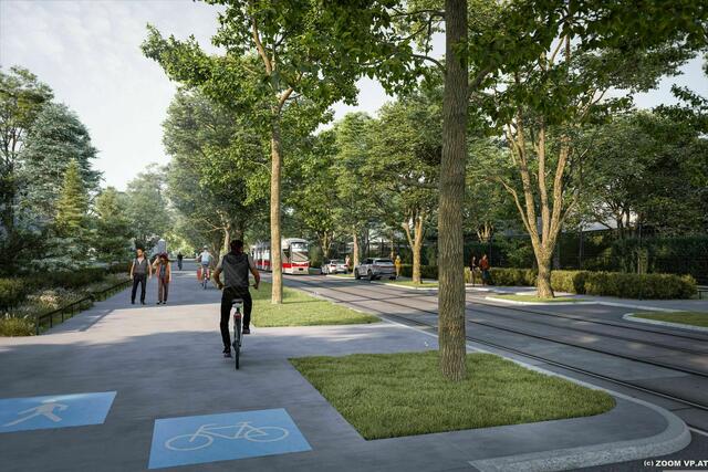 Der Baumbestand in der Plötzleinsdorfer Allee soll gerettet werden | Foto: Mobilitätsagentur Wien/zoom vp