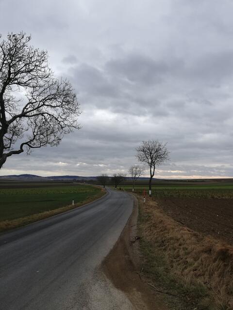 Zwischen Kleinweikersdorf und Mailberg liegen immer wieder Bierflaschen am Straßenrand | Foto: arbes