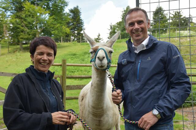 Mit Unterstützung der ecoplus Regionalförderung soll der Naturpark Hohe Wand noch attraktiver werden. Landesrat Jochen Danninger informierte sich im Vorjahr bei einem Besuch im Naturpark Hohe Wand über die geplanten Maßnahmen und stattete gemeinsam mit Selma Karnitsch vom Naturpark Hohe Wand den Lamas und Alpakas einen Besuch ab | Foto: Sonja Pohl