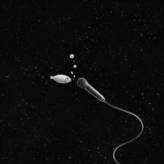 Podcast werden von Jahr zu Jahr immer populärer. Auch wir haben in den letzten Jahren so einige spannende Podcasts mit zu den verschiedensten Themen produziert.  | Foto: Pixabay