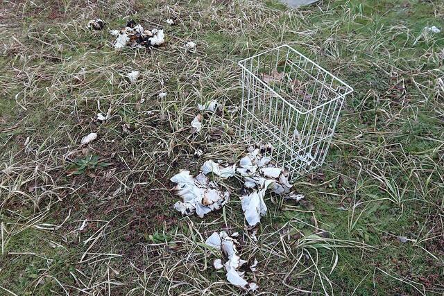 Papierhandtücher gelten als wahrscheinliche Brandursache. | Foto: BORG Neulengbach