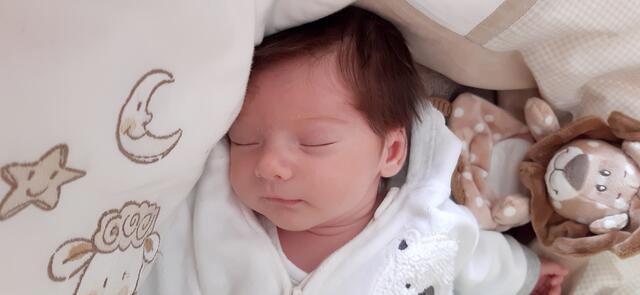 Tobias
Geburt: 24. Oktober 2021
53 cm, 3.440 g
Christina und Dietmar Zitz aus Großklein | Foto: Privat