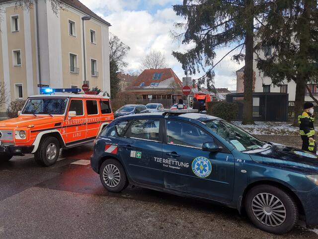 Die Feuerwehr forderte die Unterstützung der Tierrettung an. | Foto: Icara