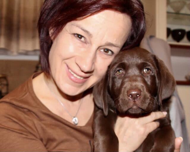 Manuela Liendl züchtet seit 23 Jahren Labrador-Retriever. | Foto: Privat