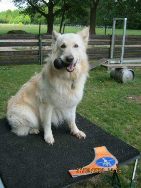 Foto: Foto der helfenden Engel