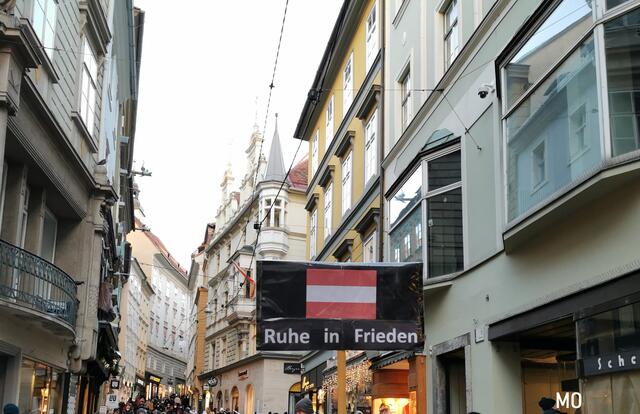 Impfzwang-Demo, Graz