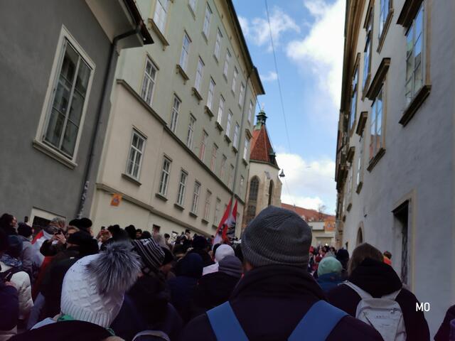Demonstranten, Graz