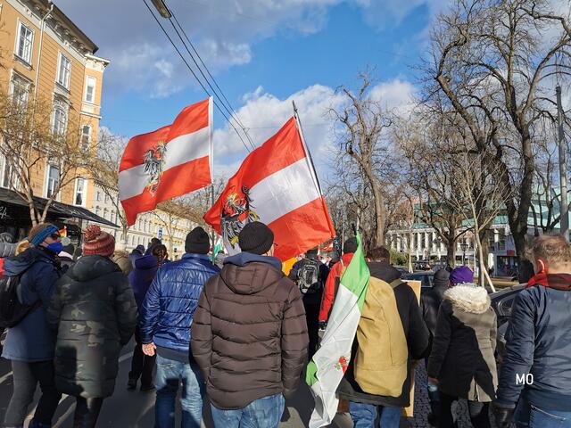 Demonstranten in Graz