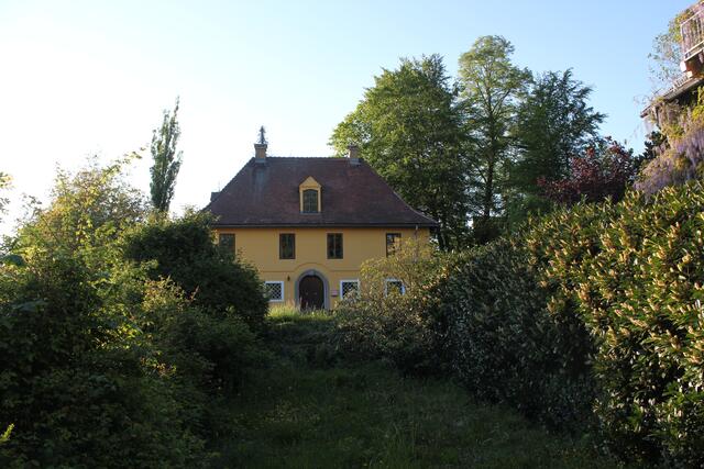 Zumindest der Baumbestand soll laut Investoren erhalten bleiben. | Foto: Gerald Sopper