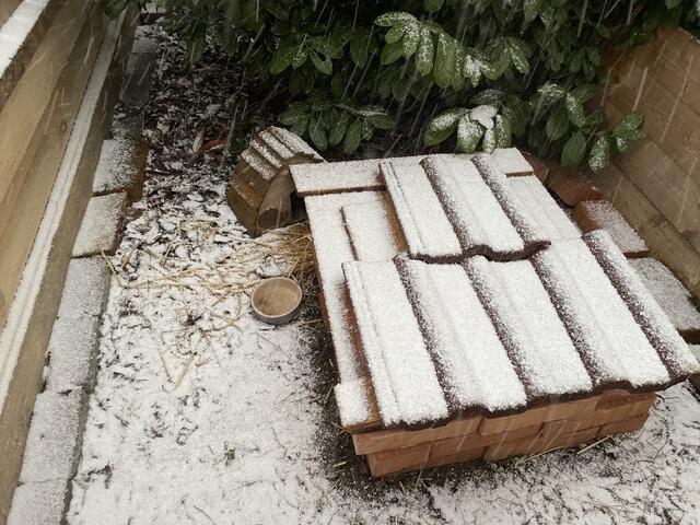 In solchen Häuschen überwintern die Igel im Garten. | Foto: Franziska Pfeiffer