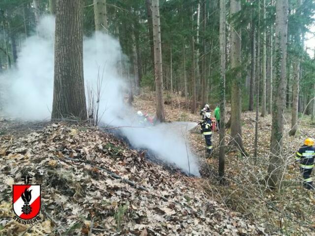 Feuerwehrleute der FF Steinberg verhinderten mit schnellem Eingreifen einen Waldbrand. | Foto: FF Steinberg