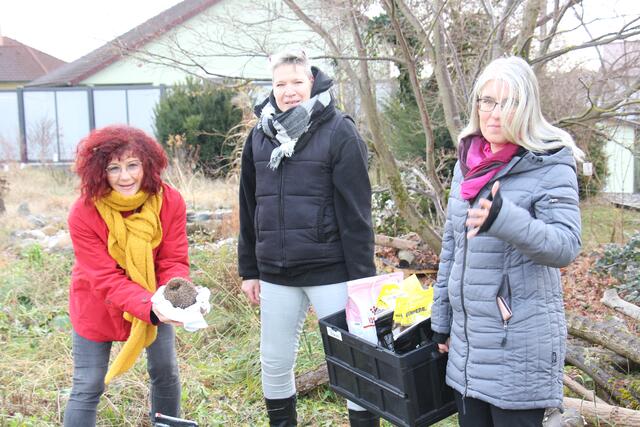 Irmi Wolfsegger-Krepil, Andrea Posch und Stefanie Jarolim (v. l. n. r.).
 | Foto: Wolfsegger-Krepil