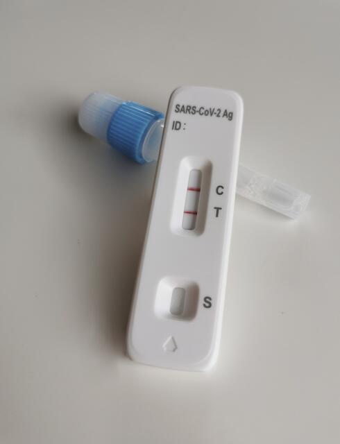 Die Zahlen aus den Tiroler Krankenanstalten für das 4. Quartal würden eindeutig die Wirksamkeit der Covid-Impfung belegen, so Gesundheitslandesrätin Leja. | Foto: Pixabay/Alexandra_Koch (Symbolbild)