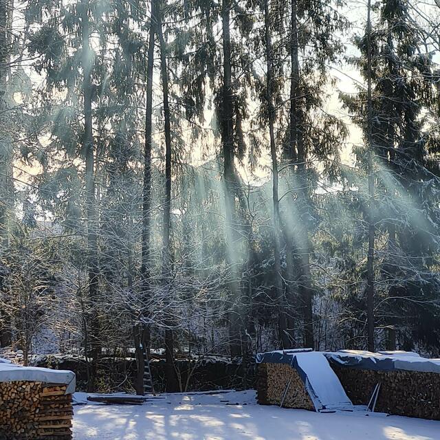 Ein Schnappschuss bei der Arbeit in Wiesfleck | Foto: Berti Muhr