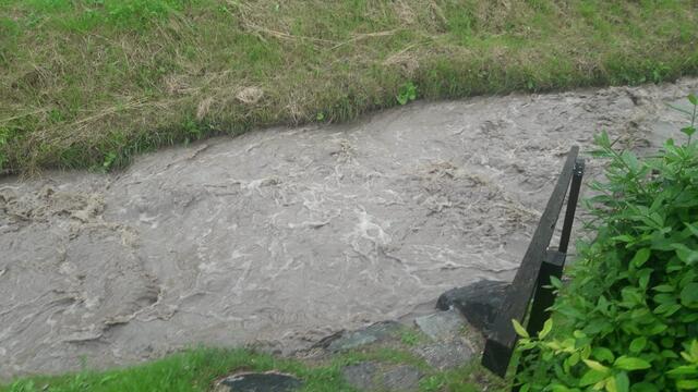 Im August 2016 trat der Globasnitzbach über sein Ufer und überflutete angrenzende Wiesen und sogar Keller.  | Foto: Privat