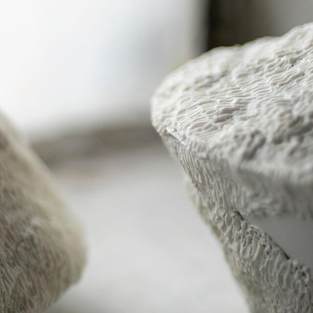 Isabella Fürst hat ein Auge fürs Detail. | Foto: Benjamin Rößler