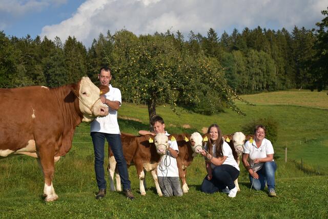 International gefragter  Fleckvieh-Zuchtbetrieb: Die stolze Familie Sitka mit ihren Drillingskälbern, zwei Mädchen und ein Junge. | Foto: Familie Sitka