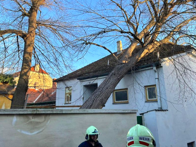 In Langenlois stürzte ein Baum auf ein Dach. | Foto: FF Langenlois