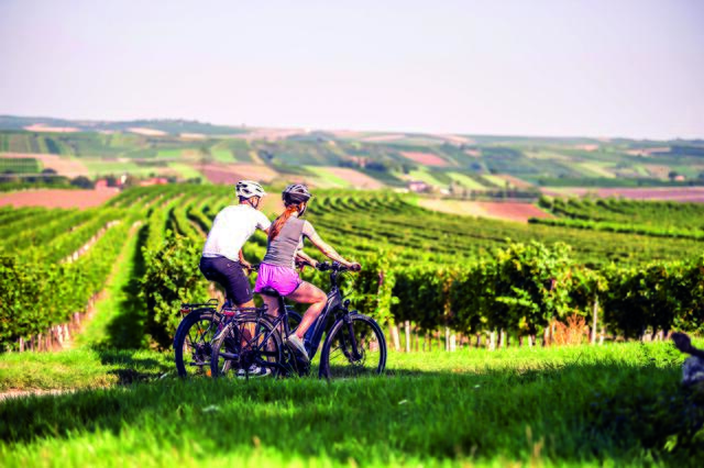 Das wunderschöne Land um Laa auf zwei Rädern erkunden. | Foto: Weinviertel Tourismus 