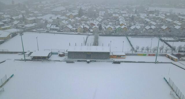 Foto: Scharinger