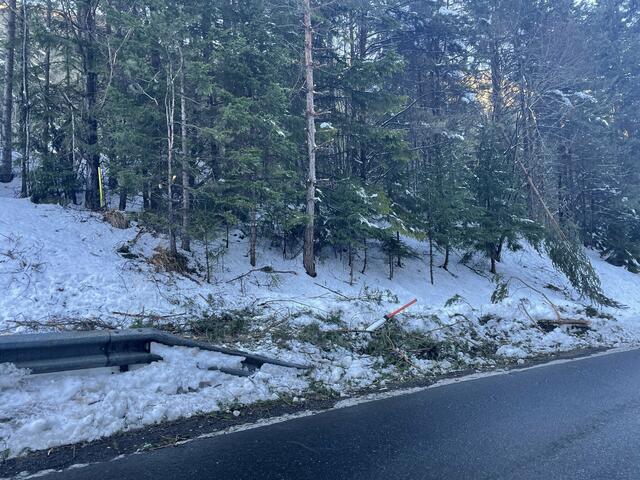 Für die Waldbesitzer heißt es nun ihre Waldflächen zu durchforsten und die Schäden zu beseitigen. | Foto: RegionalMedien