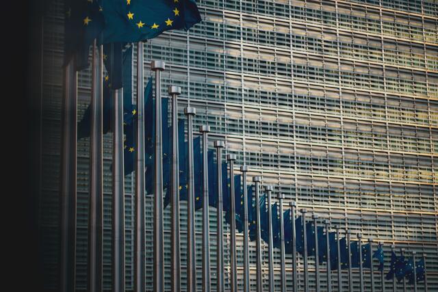 Mähnert und seine Mitstreiter sind in ständigem Austausch mit verschiedenen EU-Institutionen. | Foto:  Christian Lue/unsplash