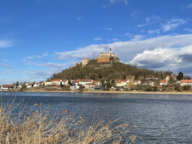 Die Teichlandschaft am Fuße des Güssinger Burgbergs ist Heimat für ein Fülle von Tier- und Pflanzenarten. | Foto: Martin Wurglits