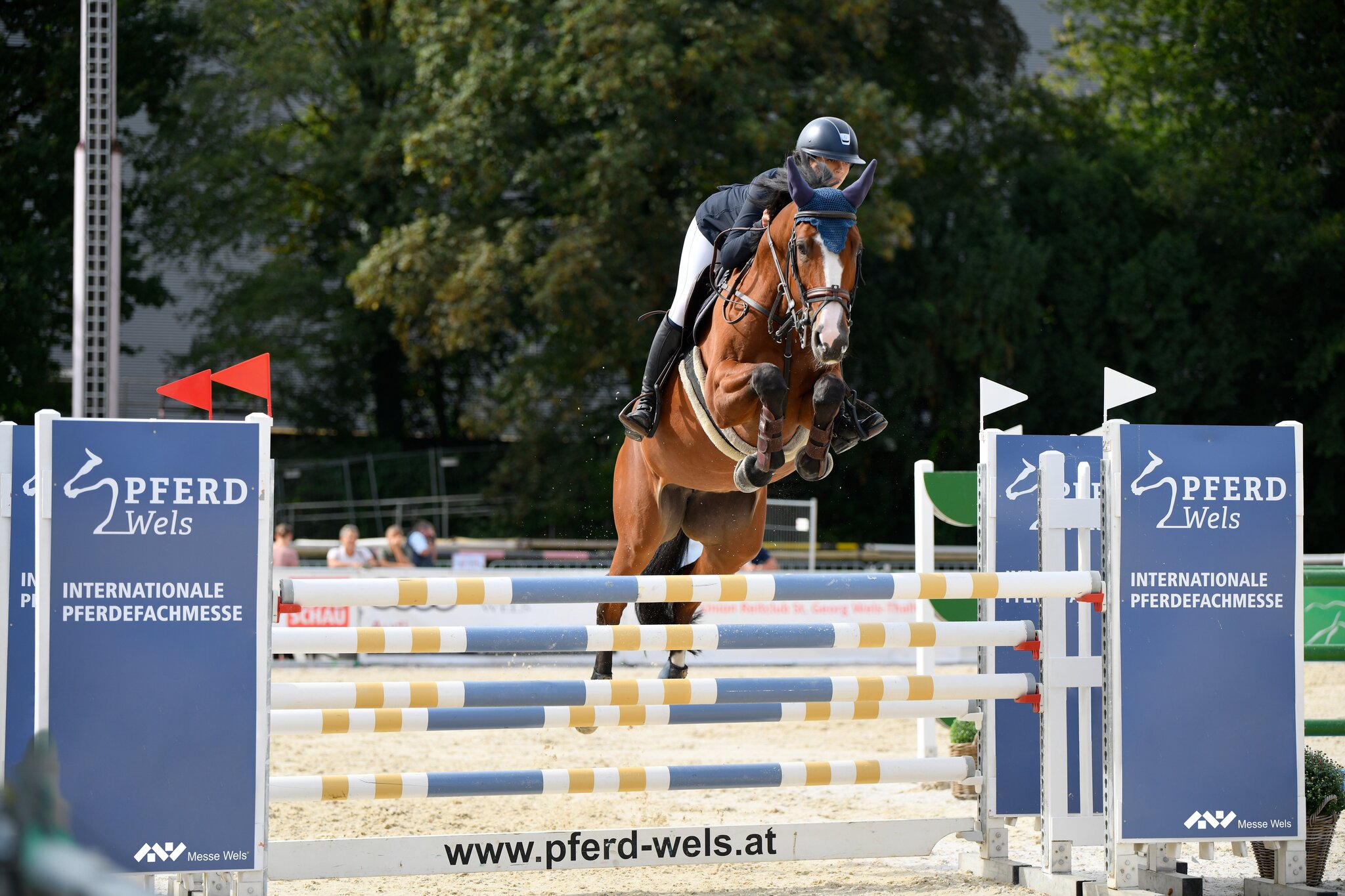  Von 26. bis 29. Mai: „Pferd Wels“ darf heuer wieder stattfinden - Wels Bildidee 