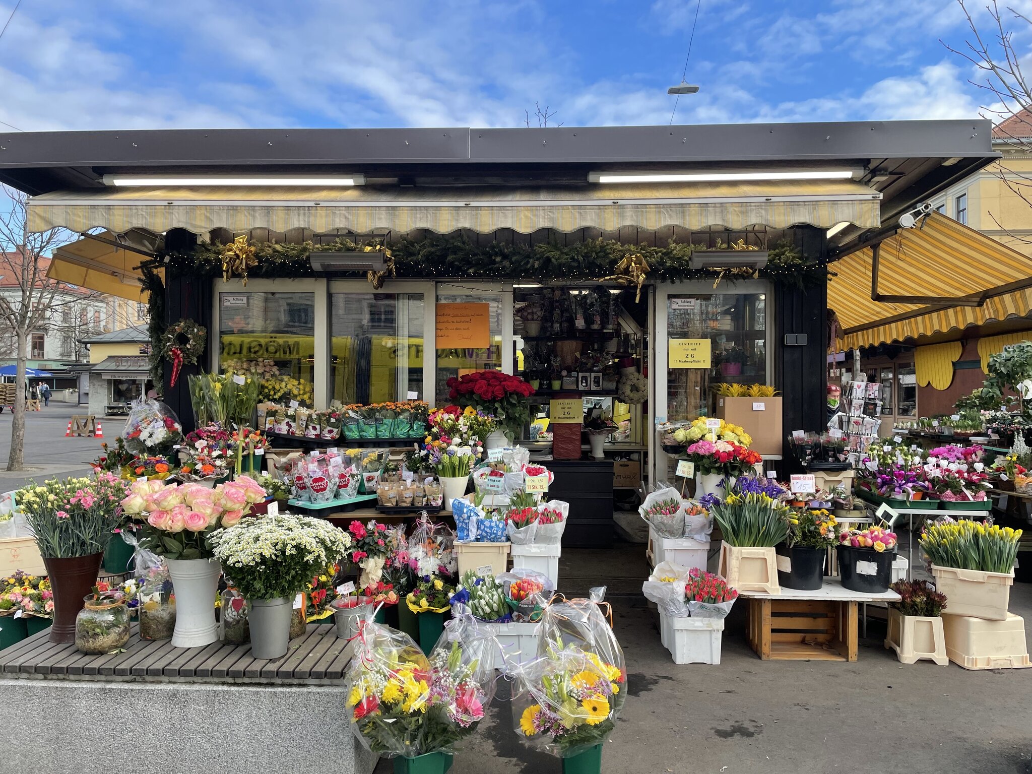 Viel zu tun für Florist:innen: Valentinstag lässt Blumen sprießen - Graz