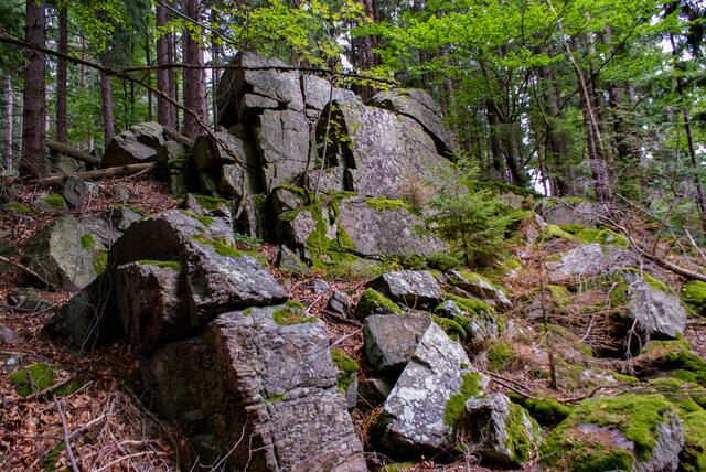 Wandererlebnis Predigtstuhl im Waldviertel (Bezirk Waidhofen/Th, NÖ) | Foto: Foto: Thomas Hanko