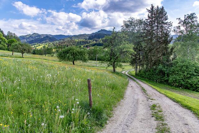 Auch der Herzwärts-Weg rund um Kindberg ist Teil des Projektes "Region der Wege".  | Foto: Robert Macek