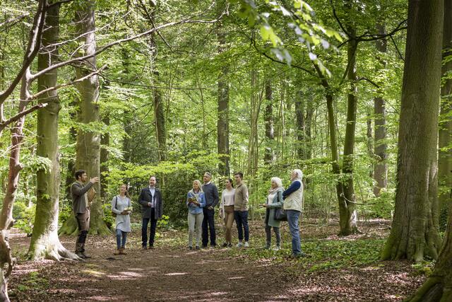 Ab 12. Februar werden im Friedwald Schöcklland wieder geführte Führungen angeboten. | Foto: FriedWald GmbH