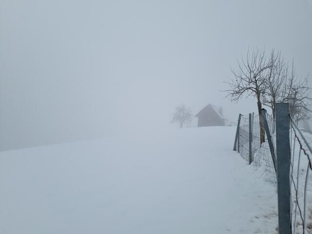 Auch Nebel kann einmalige Stimmungsbilder liefern.