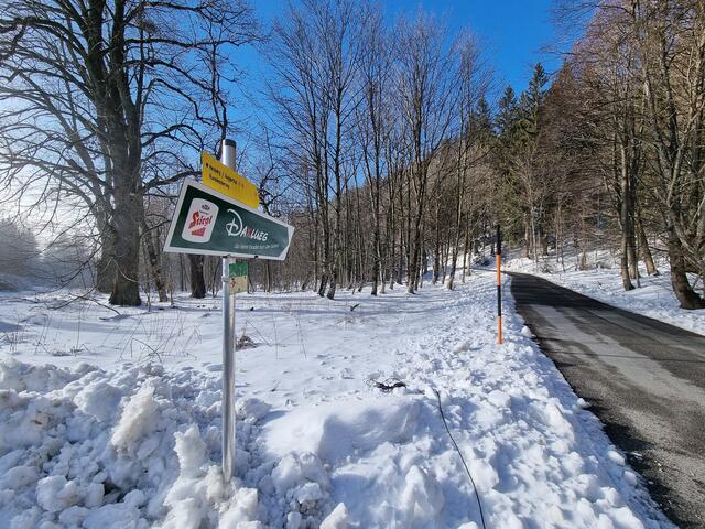 Das Ziel ist nicht mehr weit.