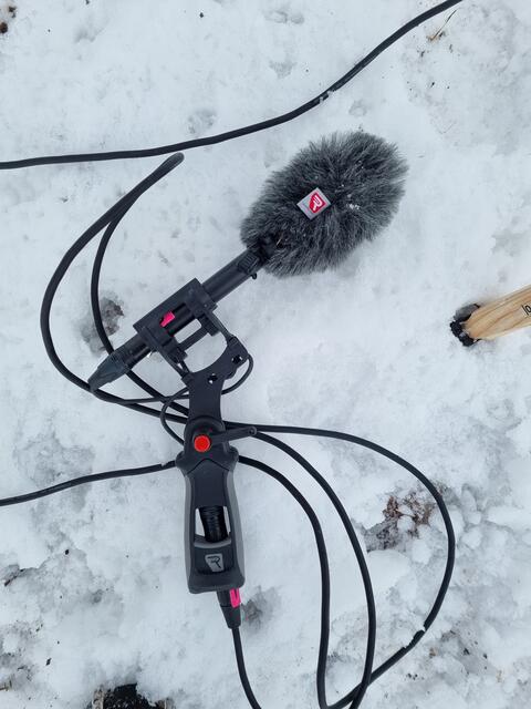 Mikrofon mit Winterfell.