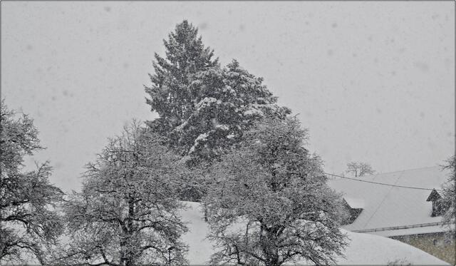 Teils ist heute lokal mit Schneefall zu rechnen